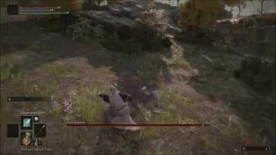 Someone care to explain the lore of this enemy?