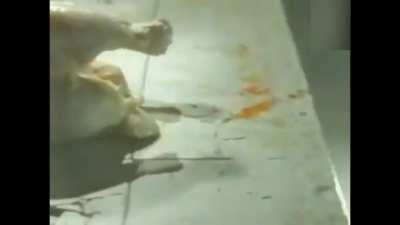 Filipino PSA on Child Prostitution (Suki bili na sariwa pa). circa 1999.