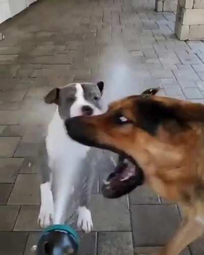 From good boys to barbarians in 3 Mississippis