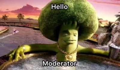 Hello, Moderator.