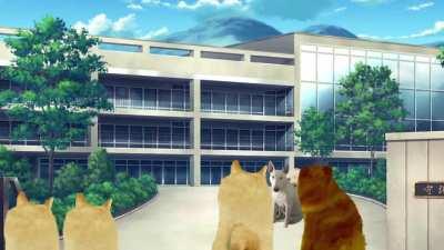 Le anime opening has arrived