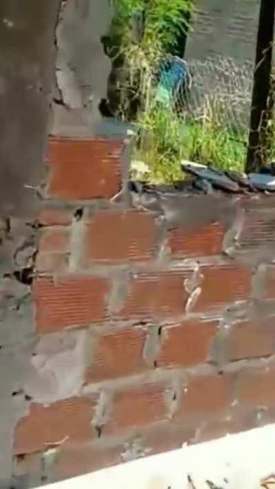 Mujeres violentas agredieron a su vecino y le rompieron la pared