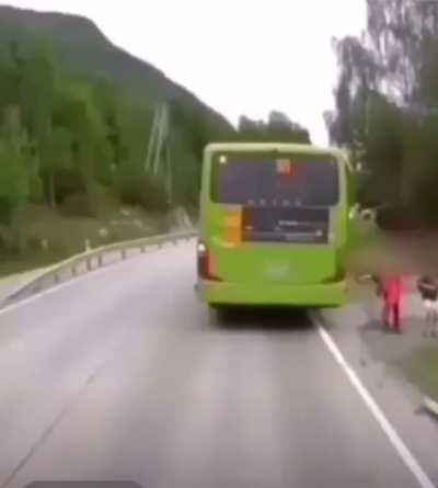 Volvo emergency braking system in action