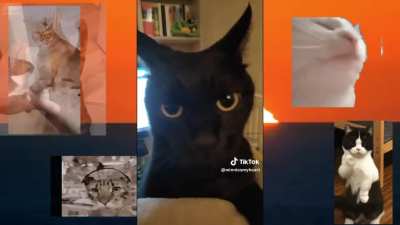 Straws Outro Brainrot :3