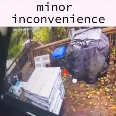 Looser City Inconvenience