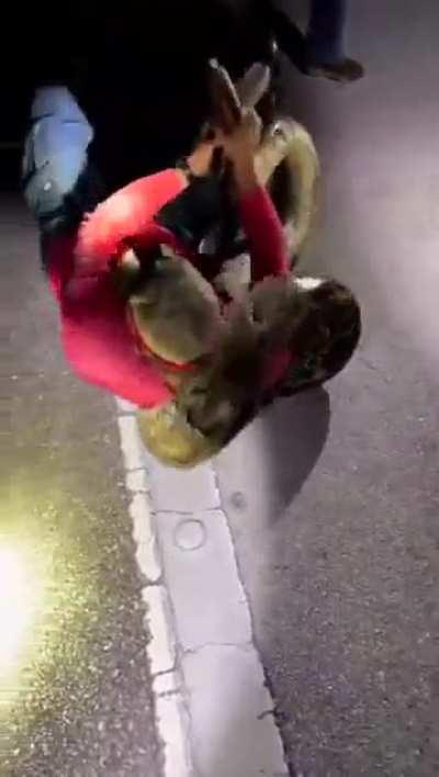 Meanwhile in Florida... Steve irwin would be so proud