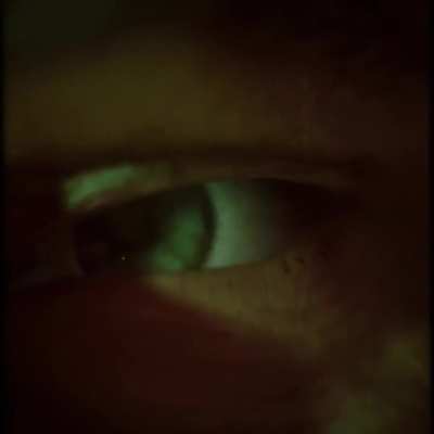 See your reflection in twisted shattered glass. Reverence Rift Trailer.