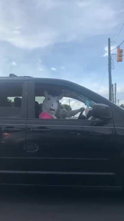 Horse singing Bohemian Rhapsody