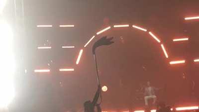 The haunting ancient Celtic Carnyx played for an audience. This is the sound Roman soldiers would have heard their Celtic enemies make.