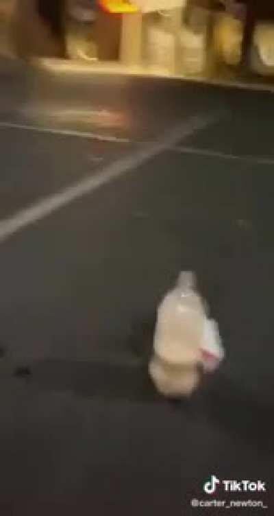 The Kid LAROI over there!