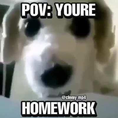 Pov: Pov: You're homework