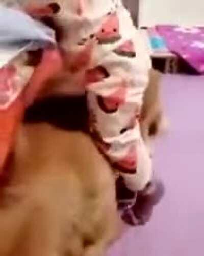 Lemme help, little hooman!