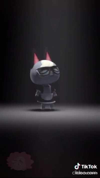 Raymond was kidnapped! [credit: @doctorsteen on TikTok]