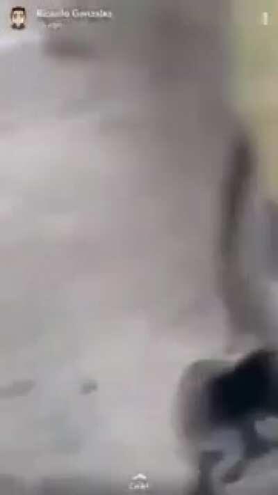 xanimal of the year, CEO of the cool guy club