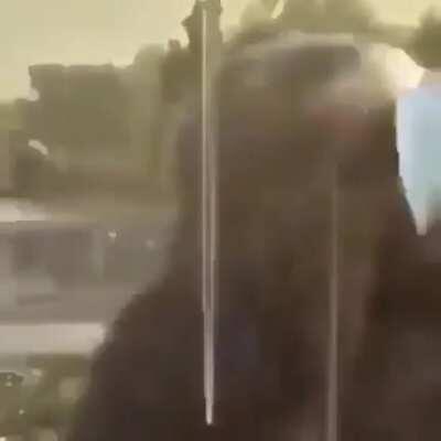 Don’t mess with monkey