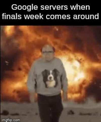 Google really said 'Fuck it'