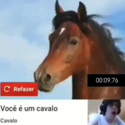 vc e um cavalo?