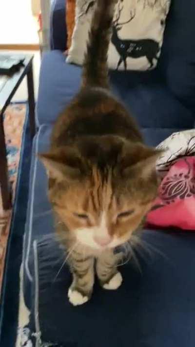 Good morning too Pumpkin!