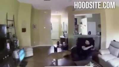 Blowing into a Pitbull's ear