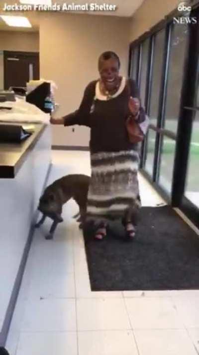Woman is reunited with her dog that was missing for two weeks