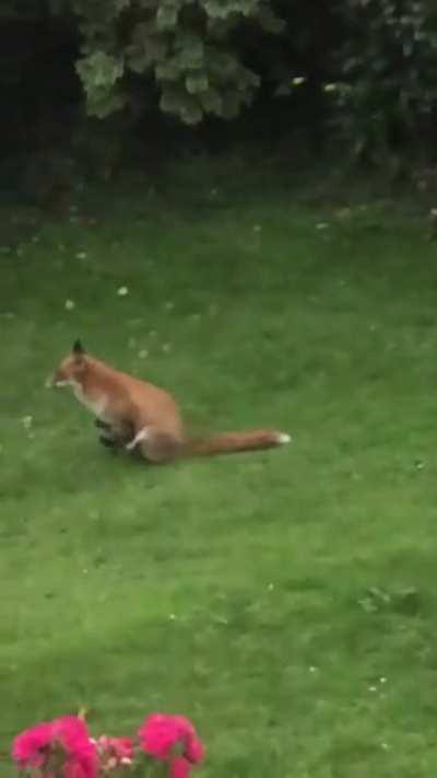 When you realise your being watched