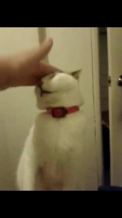 Deja hacerte cariño ✋