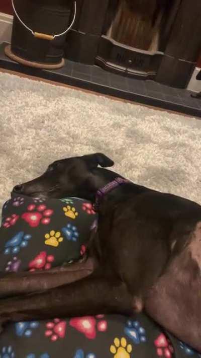 The don’t stop stroking me stare!