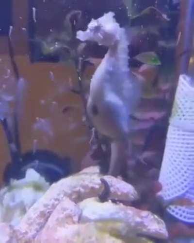 There is so many of them...