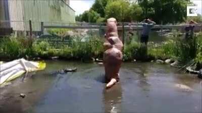 This is exactly why ....