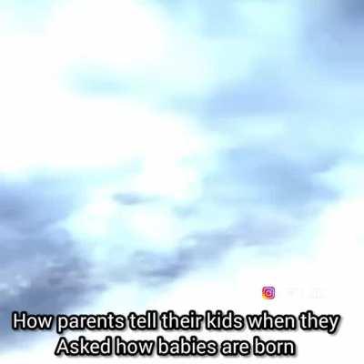 💀💀💀💀💀💀