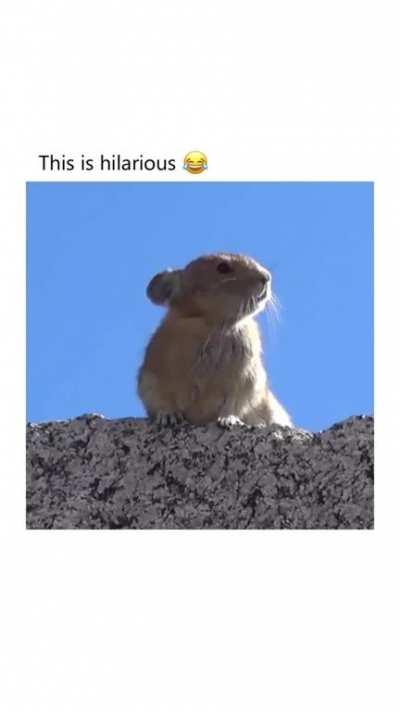 This is what I needed today