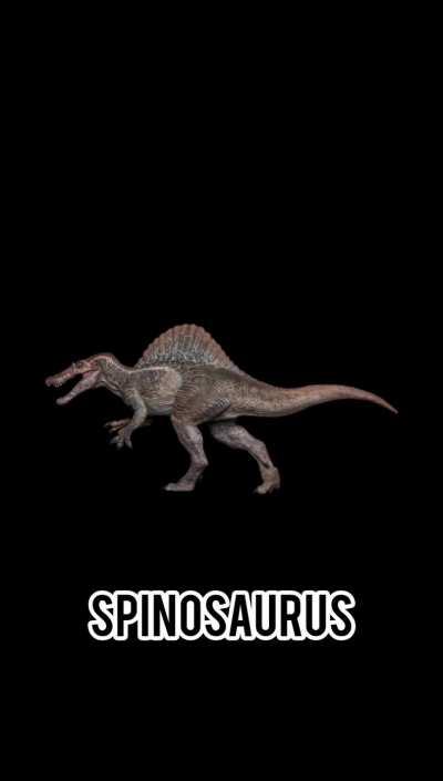 Can you choose your favourite one?