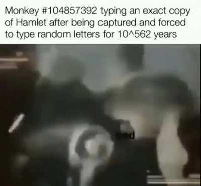The Monkey
