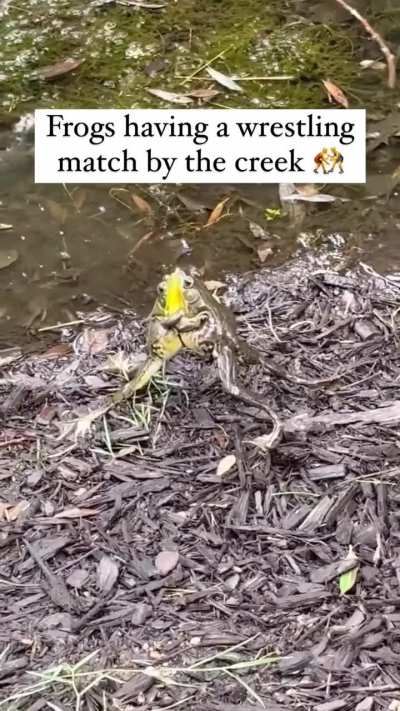 It's mating season 💪