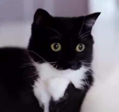 TES VI main villain leak