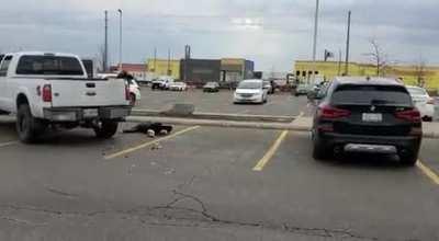 Incident at Milton metro