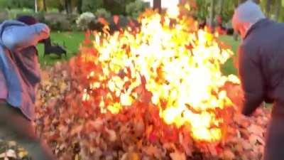 These two are absolute geniuses