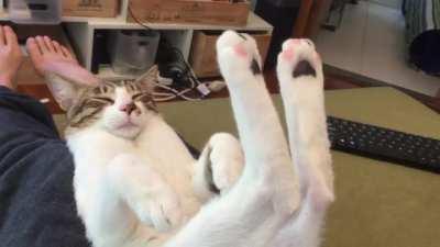 Try explaining this at your next check stop w the police...