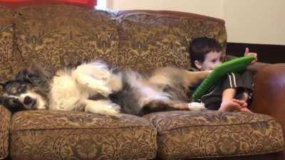 Found it appropriate for here