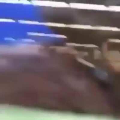 What the fucj is this place 🤨