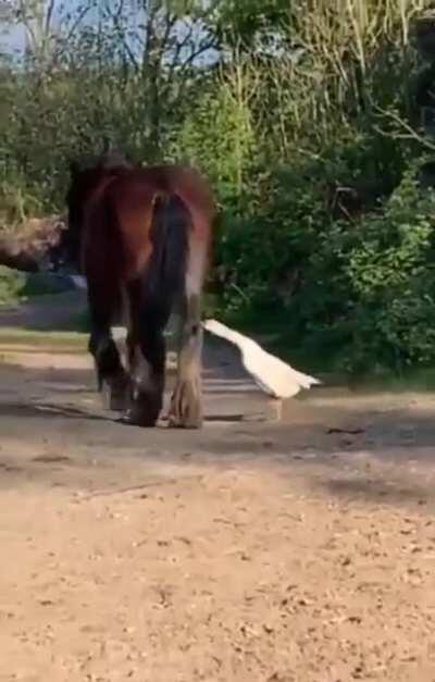 Fuck Around and Find Out