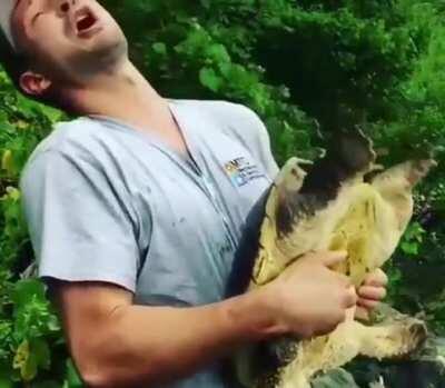 Play safe when around a turtle