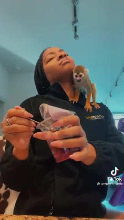 Thanks, I love tiny naughty monkey begging for pomegranate.