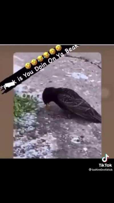 Baltimore is just a different breed 😂😂