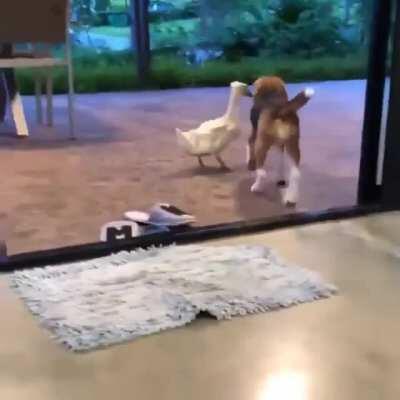 Who doesn't like hugs?