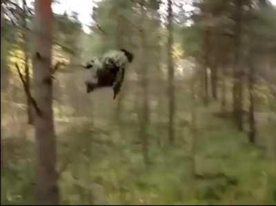 Apparently the best way to have fun was by jumping off a tree