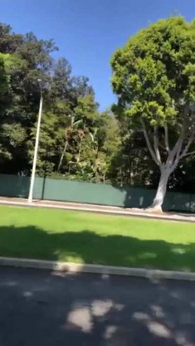 Spotted travis in LA 🔥🌵