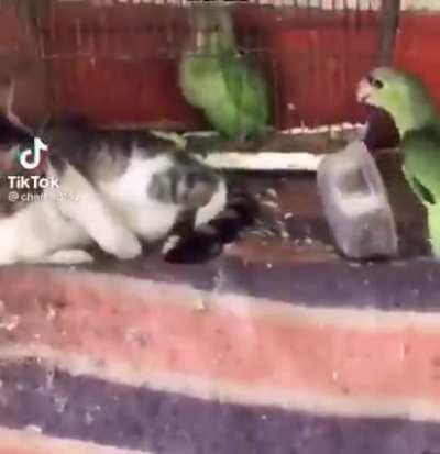 The bowl is right there