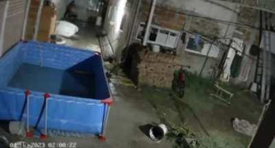 Dos firulais atacaron a chorro que ingreso a una vivienda