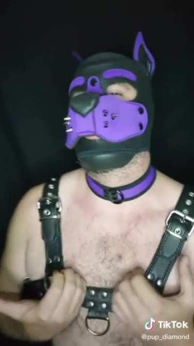 There there boy, let's go behind the shed